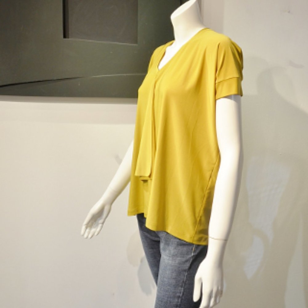 Ochre Waterfall Ruffle V Neck Short Sleeve Top